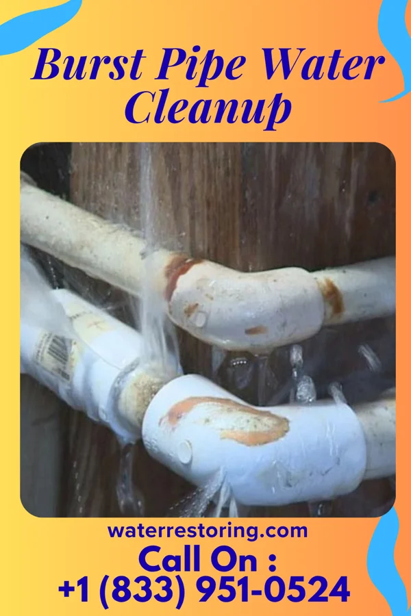 Burst Pipe Water Cleanup in Monroe, OH